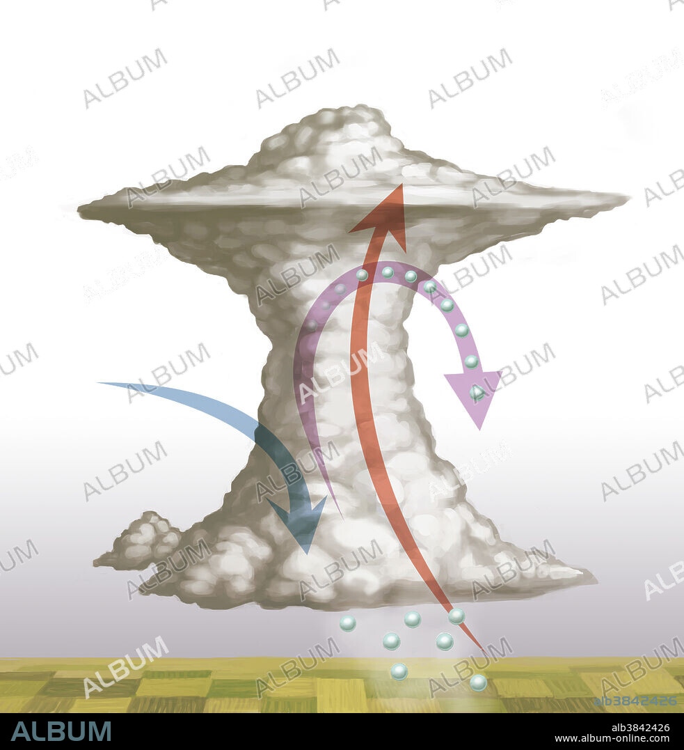 Illustration of a cumulonimbus hail storm cloud. Hail is a form of precipitation made up of balls of ice and snow. Hail forms in cumulonimbus clouds due to the violent convection currents present (blue and red arrows). Particles of rain or snow are drawn vertically up through the cloud and collide with supercooled water and other particles. These collisions lead to the particles sticking together. When they become too heavy to be supported by the air currents, they fall to earth. Some hailstones can be over 10 centimetres across.