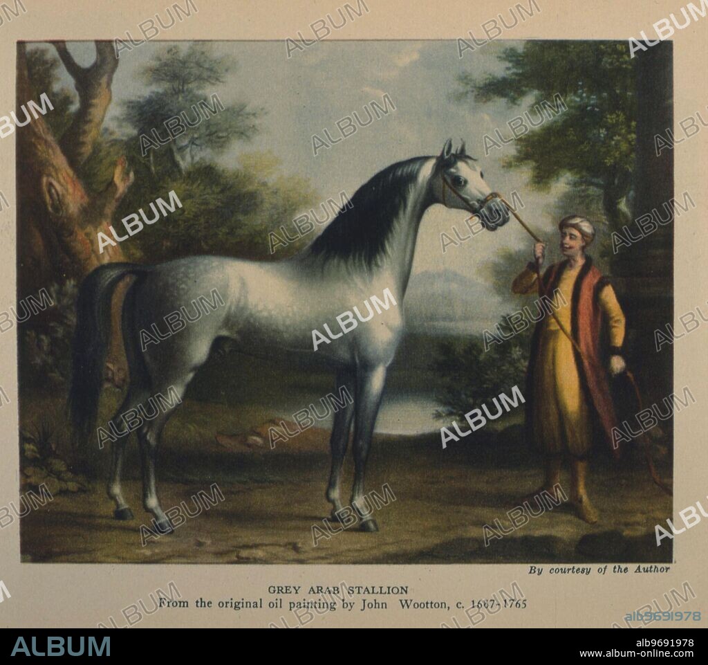Grey Arab Stallion. From the original oil painting by John Wootton 1687-1765. John Wootton (ca.1682 -1764) was an English painter of sporting subjects, battle scenes and landscapes. Born in Snitterfield, Warwickshire (near Stratford-upon-Avon), he is best remembered as a pioneer in the painting of sporting subjects, and was considered the finest practitioner of the genre in his day. As such, his paintings were very fashionable and were sought after by those among the highest strata of the British society - George II of England, Frederick, Prince of Wales, and the Duke of Marlborough. He is now somewhat eclipsed in the field of animal paintings by the later George Stubbs (1724-1806), who is considered technically superior. John Wootton died in London on November 13, 1764. ©TopFoto.
