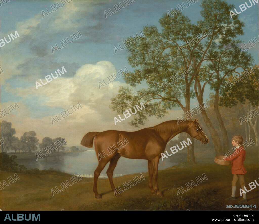 GEORGE STUBBS. Pumpkin with a Stable-lad. Date/Period: 1774. Painting. Oil on panel. Height: 822 mm (32.36 in); Width: 1,013 mm (39.88 in).