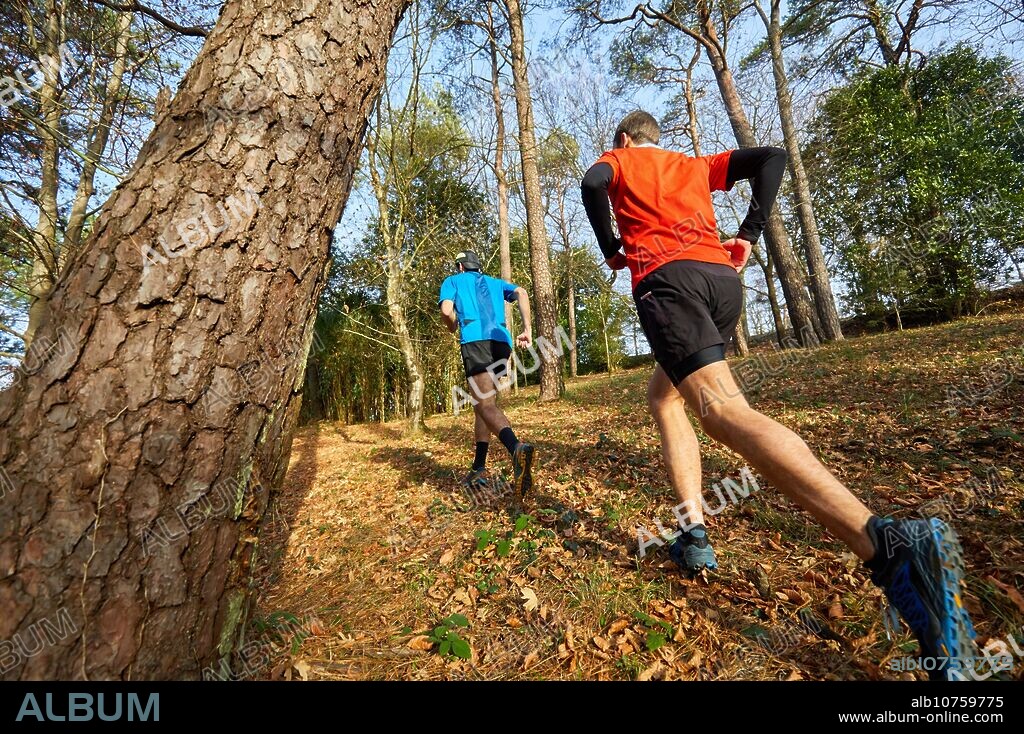 Trial, Running in the forest, Mount Ulia, Donostia, San Sebastian, Gipuzkoa, Basque Country, Spain, Europe.
