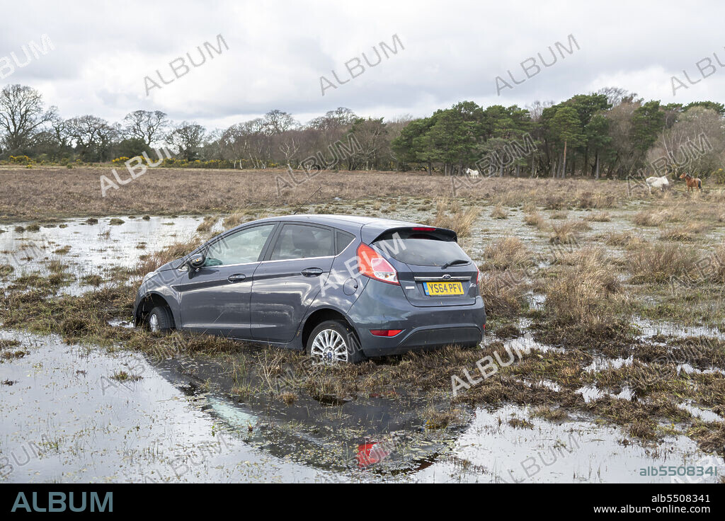 TIM WOODCOCK. Ford Fiesta accident in New Forest, 2020.