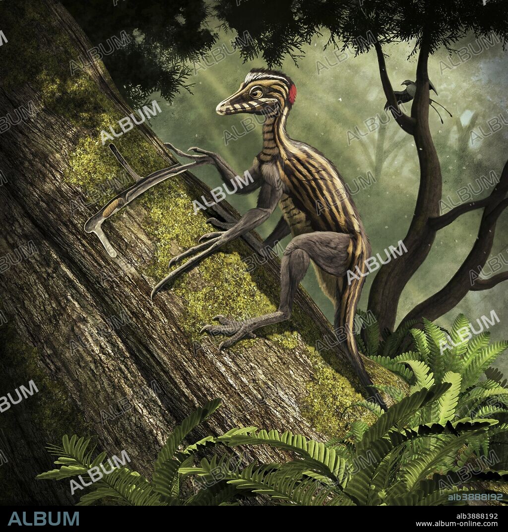 Epidendrosaurus ninchengensis, a tree-dwelling theropod, specializing in capturing wood worms with its extremely elongated finger. Late Jurassic of China.