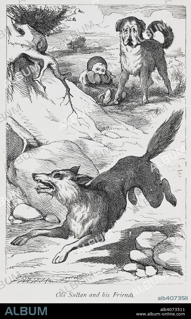 JACOB LUDWIG CARL GRIMM. Old sultan and his friends. Grimms' fairy tales and household stories for young people / translated from the German [by] Mrs H B Paull and Mr L A Wheatley. Frederick Warne (no date). Source: X15/4405 DSC opposite 177.