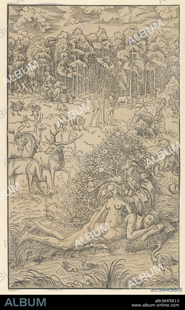 The Creation of Eve. Artist: Lucas Cranach the Younger and Workshop (German, Wittenberg 1515-1586 Wittenberg). Dimensions: Sheet: 10 5/16 × 6 5/16 in. (26.2 × 16 cm).