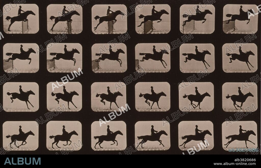 Muybridge Animal Locomotion, Horse Leaping Hurdle, 1881. Photograph shows 24 consecutive images of a man riding a horse named Frankie, jumping over a hurdle. Eadweard James Muybridge (April 9, 1830 - May 8, 1904) was an English photographer important for his pioneering work in photographic studies of motion and in motion-picture projection. He published two popular books of his work, Animals in Motion (1899) and The Human Figure in Motion (1901), both of which remain in print over a century later. He died in 1904 at the age of 74.