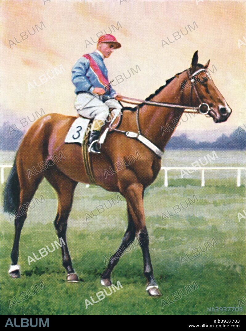 Bookseller, Jockey: G. Richards', 1939. Winner of the 1938 Great Yorkshire Handicap at Doncaster. Sir Gordon Richards (1904- 1986) was the British flat racing Champion Jockey 26 times and is often considered the world's greatest ever jockey. He remains the only flat jockey to have been knighted. From Racehorses & Jockeys, 1938 - A Series of 40. [W. D. & H. O. Wills, Bristol, 1939].