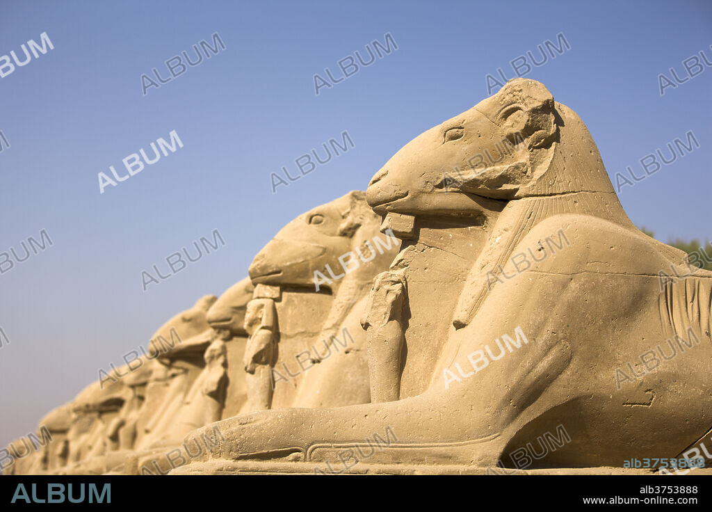 Ram headed sphinxes leading up to the first pylon at Karnak Temple, Karnak, Thebes, UNESCO World Heritage Site, Egypt, North Africa, Africa.