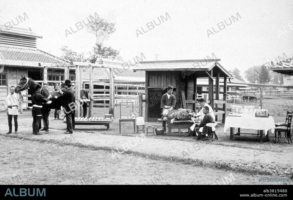 The Serum Institute, Tokyo, Japan. Kitasato injecting a horse for immunization. Kitasato Shibasaburo (1853-1931) was a Japanese physician and bacteriologist during the prewar period. He studied under Robert Koch from 1885 to 1891. In 1889, he was the first person to grow the tetanus bacillus in pure culture, and in 1890 cooperated with Emil von Behring in developing a serum therapy for tetanus using this pure culture. After returning to Japan in 1891 he founded the Institute for Study of Infectious Diseases. In 1894 during an outbreak of the bubonic plague he identified a bacterium, the infectious agent, that he concluded was causing the disease. In 1898 Kitasato isolated and described the organism that caused dysentery. He was the first president of the Japan Medical Association and was ennobled with the title of danshaku (baron) in 1924.