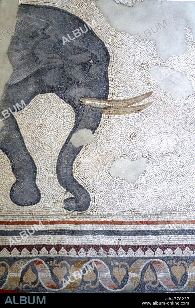 Elephant- Constantinople, sous l'empereur Justinien (527-565). Pavement de mosaique de la fin du 5e siecle ou Mosaique du 6eme siecle qui ornait le peristyle d'une cour du grand palais byzantin construit par Justinien 1er. Istanbul , Sultanhamet. Musée de la mosaique. Credit photo Ma-tension/KHARBINE TAPABOR.
