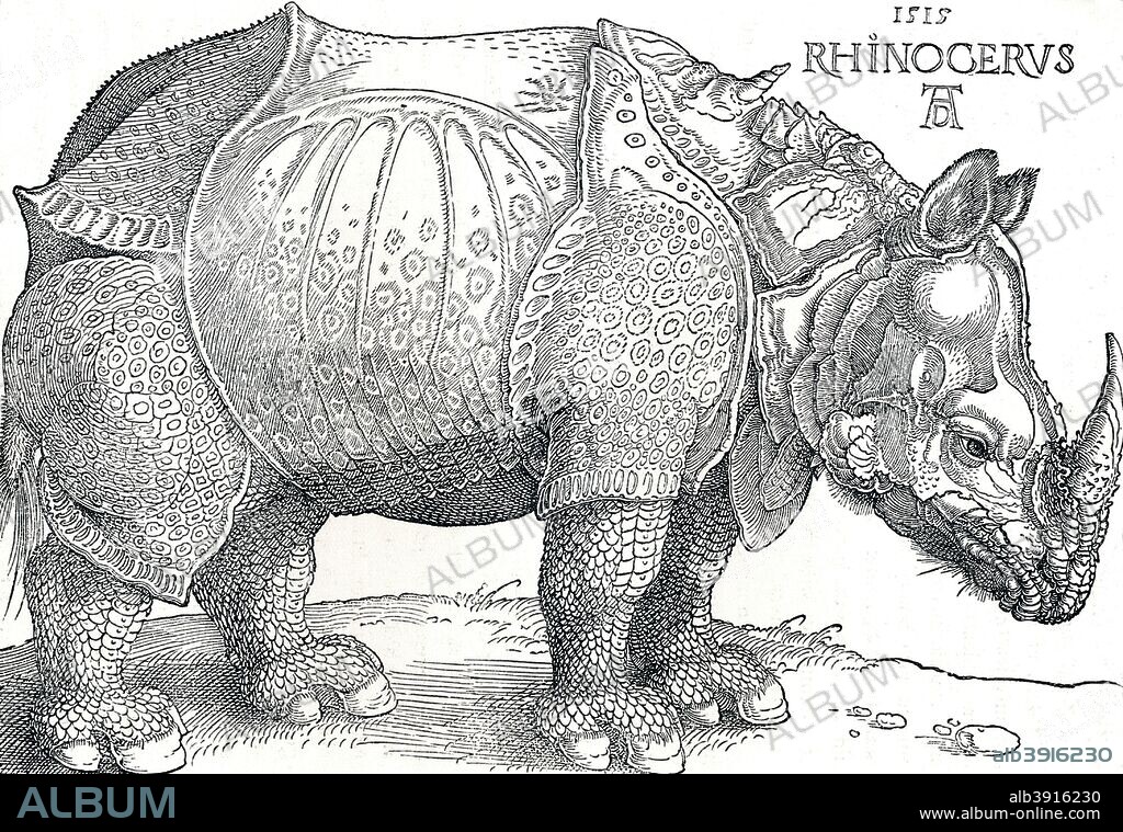 'A Rhinoceros', 1515, (1906). From The Engravings of Albert Durer, by Lionel Cust. [Seeley and Co. Limited, London, 1906].