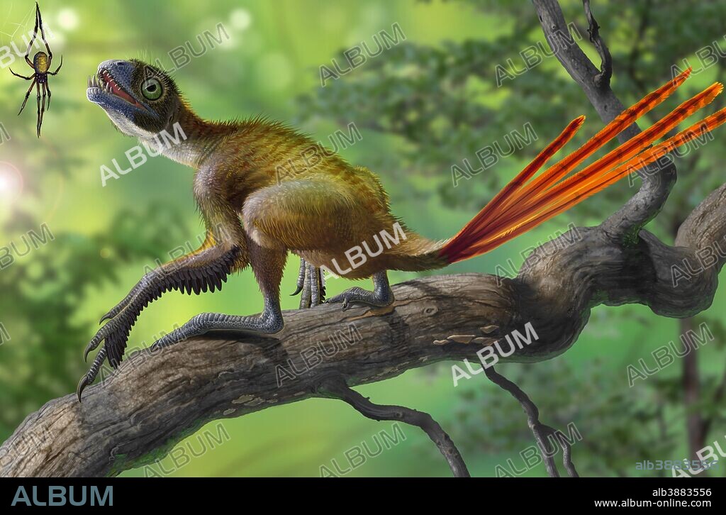 Epidexipteryx dinosaur perched on a branch ready to eat a nearby spider.