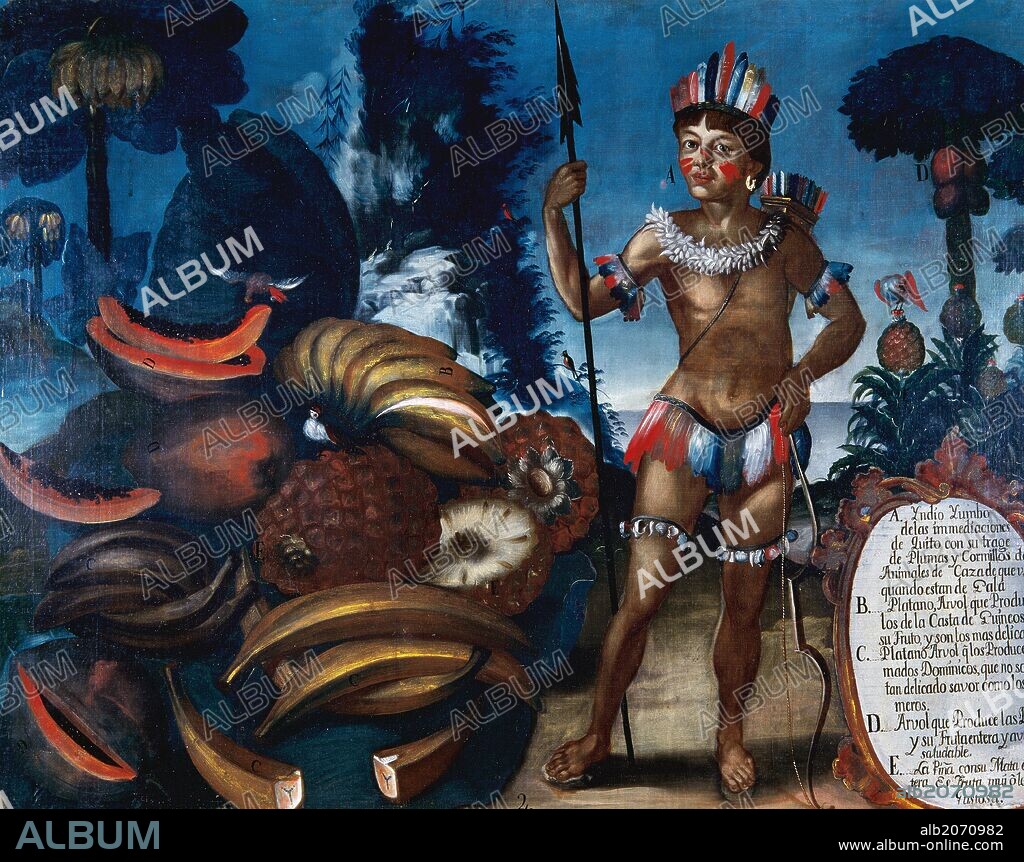 VICENTE ALBÁN. INDIGENAS DE AMERICA. SIGLO XVIII. ECUADOR. "INDIO YUMBO DE LAS INMEDIACIONES DE QUITO, CON DIVERSOS FRUTOS Y ARBOLES". Oleo del siglo XVIII. Museo de América. Madrid. España.