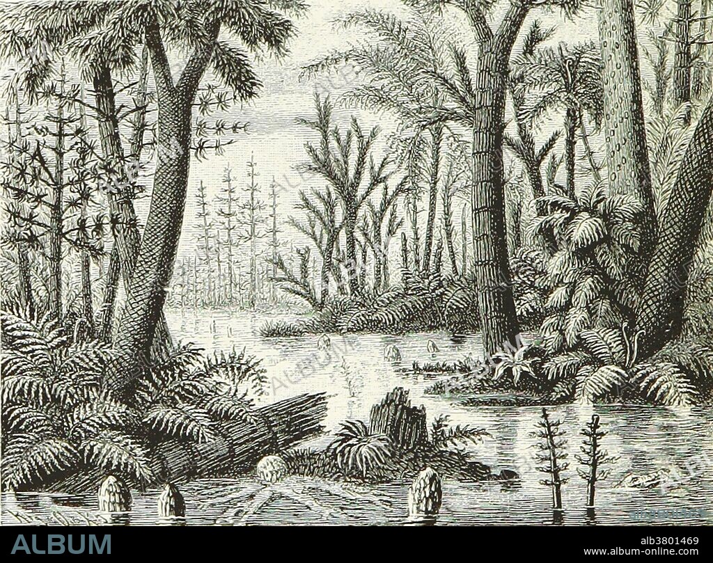 Prehistoric Flora, Carboniferous Landscape