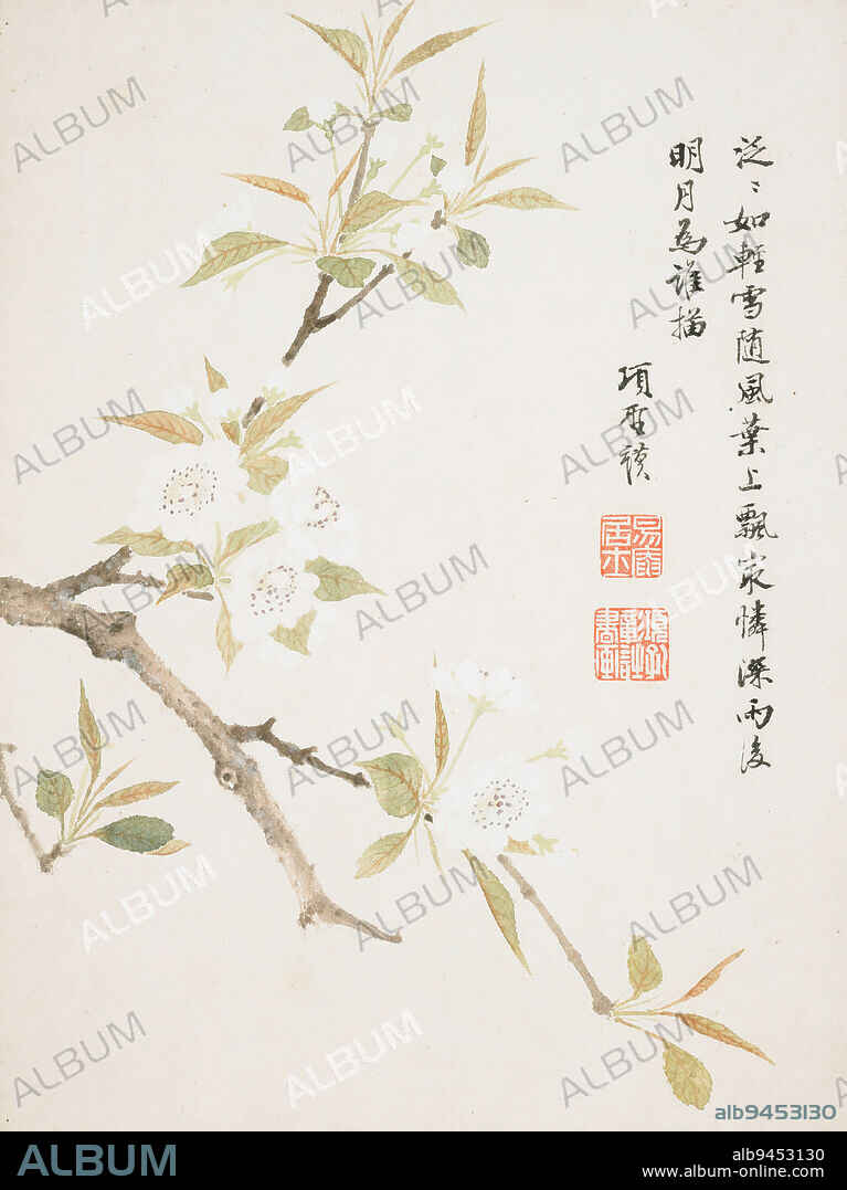 Pear Blossom from a Flower Album of Ten Leaves, 1656, Xiang Shengmo, Chinese, 1597-1658, 12 1/8 x 9 1/16 in. (30.8 x 23 cm), Ink and color on paper, China, 17th century, Xiang Shengmo was born into one of the most prestigious families in Jiaxing, a city in northeastern China. When the Manchu invasion reached Jiaxing, in 1645, many of Xiangs friends and relatives died in a vain attempt to save their city. His homestead was destroyed and his familys art collections lost. Following this upheaval, Xiangs painting changed from an amateur, literati pursuit, becoming a source of income. Xiang was at the height of his technical and expressive powers when he created this album, featuring a wide range of flowers including wintersweet, cockscomb, apricot, pear, daylily, and cassia. He worked here in pure color without ink outlines and in shaded brushstrokes, which give the impression of three-dimensional modeling.
