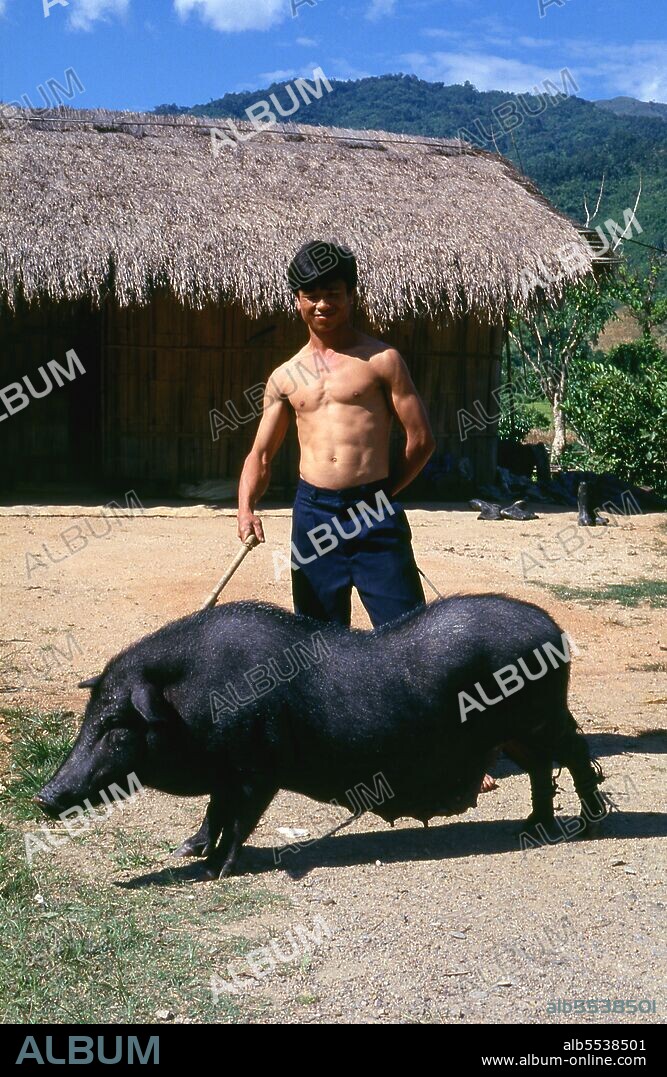 The rugged, indomitable Chinese muleteers known to the Burmese as Panthay, and to the Thai and Lao as Haw or Chin Haw, were—and to some extent still are—the masters of the Golden Triangle. Certainly they were the traders par excellence, penetrating into the remotest reaches of forbidden territory such as the Wa States, whilst at the same time their mule caravans, laden with everything from precious stones and jade to opium and copper pans, traded as far as Luang Prabang in Laos, Moulmein in Burma, Dali and Kunming in Yunnan, and Chiang Mai in northern Thailand.