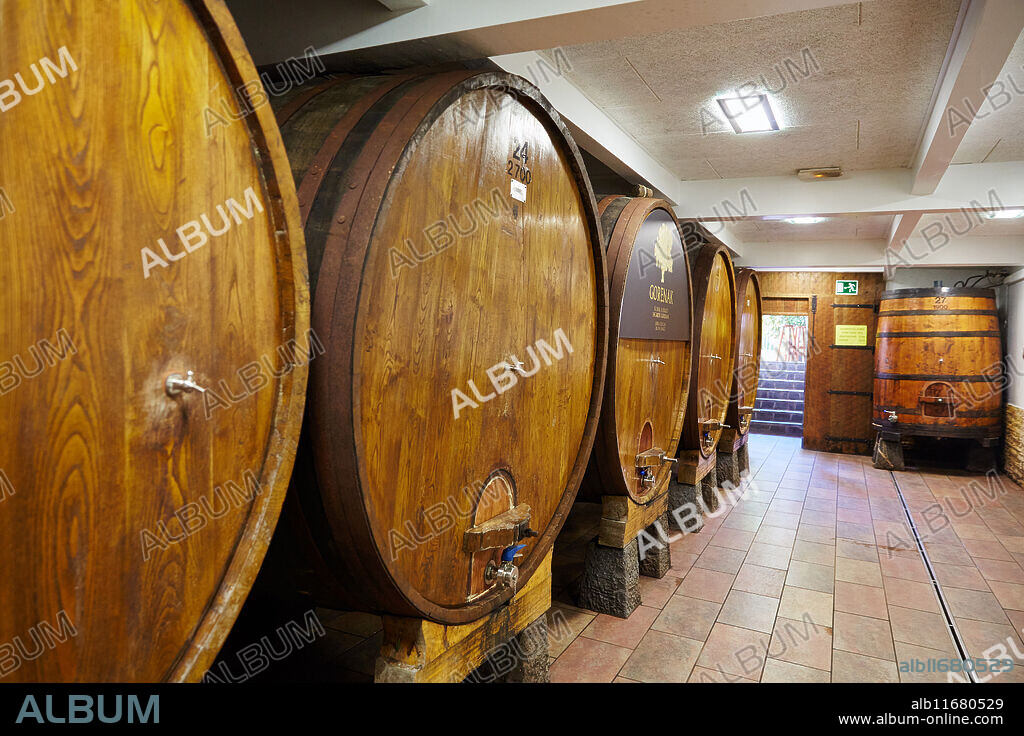 Sidreria Barkaiztegi, Cider house, Martutene, Donostia, San Sebastian, Gipuzkoa, Basque Country, Spain.