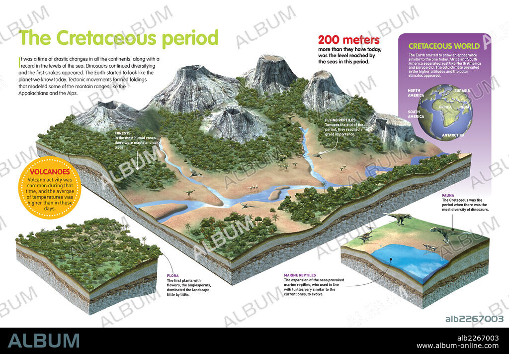 El período Cretácico. Infografía sobre el período Cretácico, último período de la era Mesozoica, su fauna, flora y cambio del terreno debido a los movimientos tectónicos.