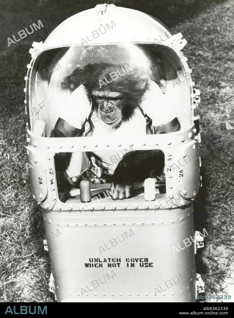 Ham, the first chimpanzee in space.