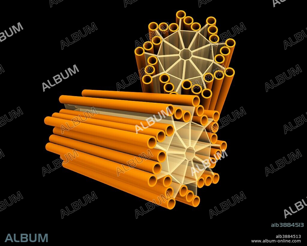 Conceptual image of centrioles.