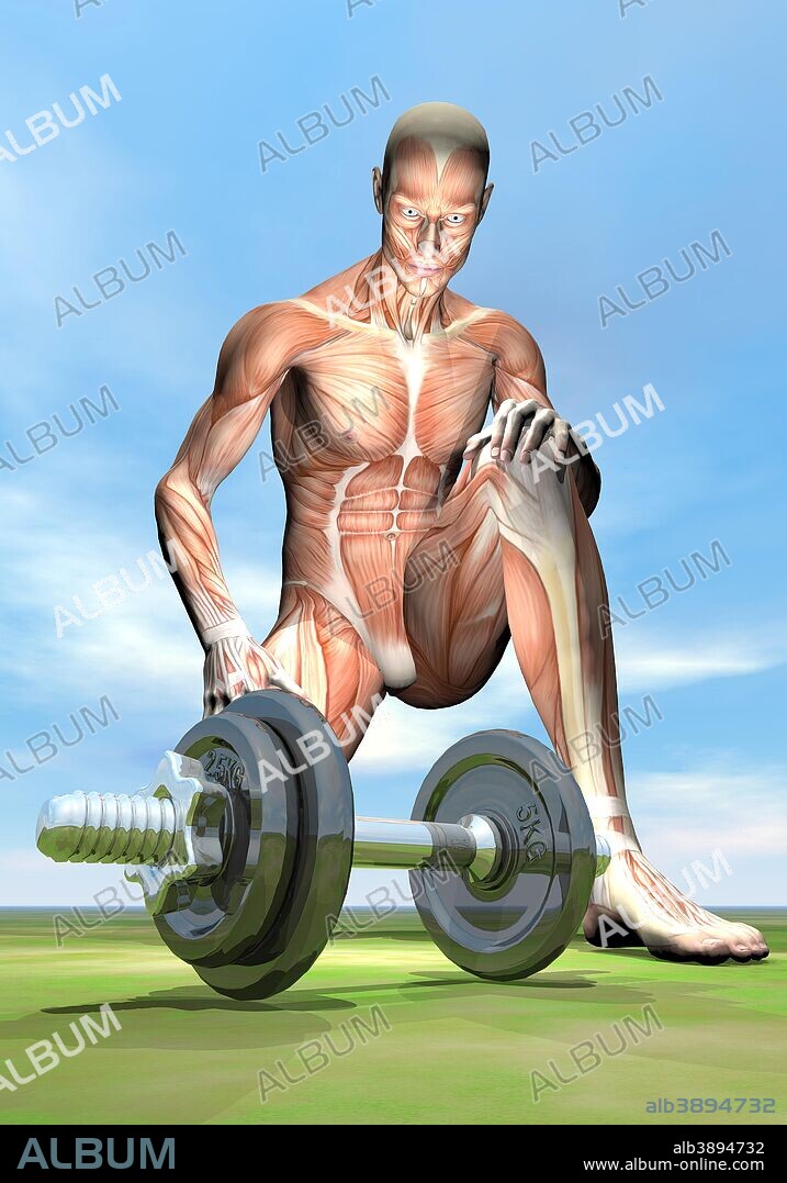Male musculature looking at a dumbbell on the grass.