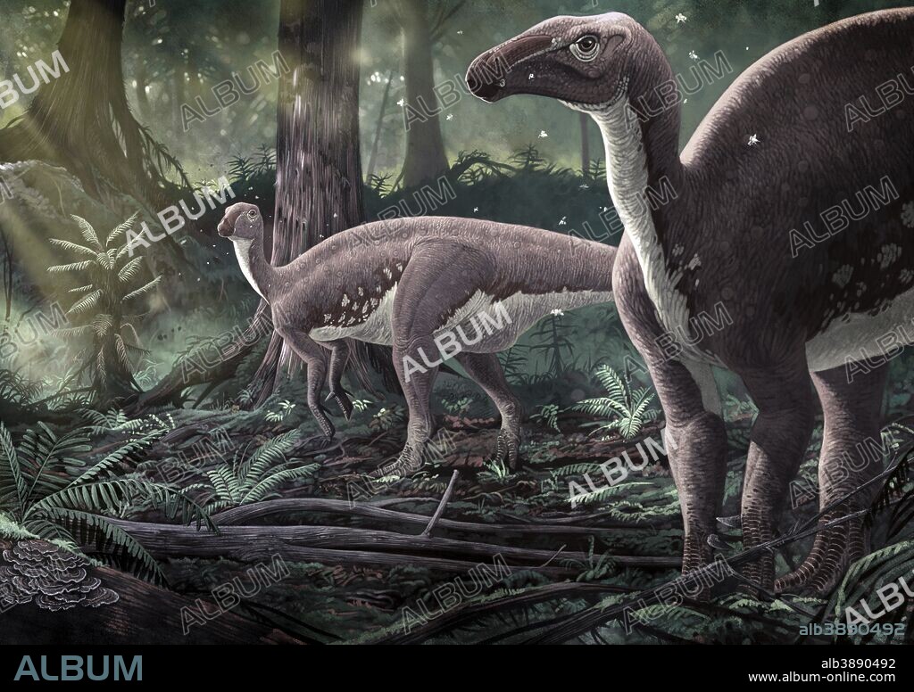 Mantellisaurus atherfieldensis, the most common iguanodont of England during the Barremian-Aptian, Early Cretaceous.