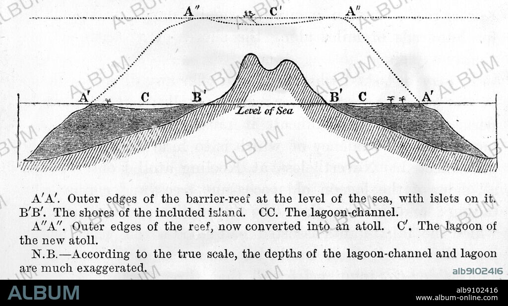 The three stages of coral development illustrated by section drawings of the same island. As the island subsides, the fringing reef builds up into a barrier reef and then becomes an atoll as the land itself sinks below sea level. Darwin and the Beagle by Alan Moorhead, page 237.