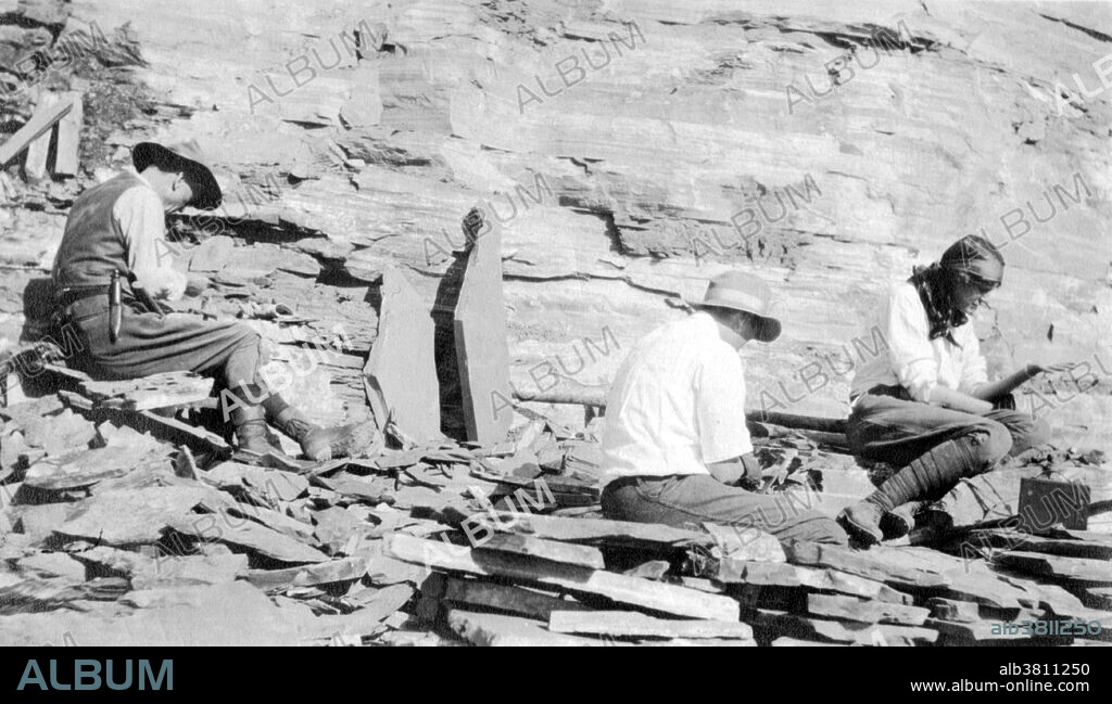 Walcott family photographed in 1913. Charles Doolittle Walcott (March 31, 1850 - February 9, 1927) was an American invertebrate paleontologist. He became known for his discovery in 1909 of well-preserved fossils in the Burgess Shale of British Columbia, Canada. Named after Burgess Pass near the location of his discovery, the shale he collected contained carbonized organisms of such abundance and age that they subsequently provided the foundation for study of the Cambrian Period in Western North America. Between 1910 and 1924, Walcott returned repeatedly to collect more than 65,000 specimens from what is now known as the Walcott Quarry, named after him. Walcott, fourth Secretary of the Smithsonian, often took his entire family on collecting trips. This image shows Walcott, his son Sidney Stevens Walcott, and his daughter Helen Breese Walcott working in the Burgess Shale Fossil Quarry, 1913. He died in 1927 at the age of 76.