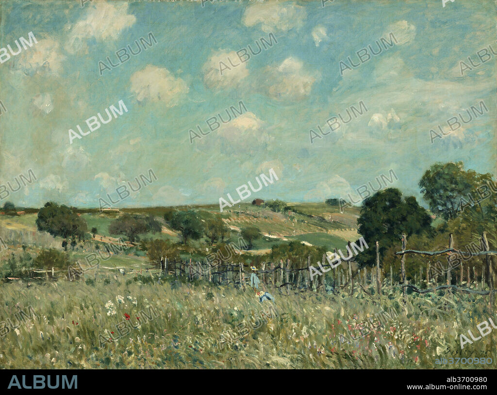 ALFRED SISLEY. Meadow. Dated: 1875. Dimensions: overall: 54.9 x 73 cm (21 5/8 x 28 3/4 in.)  framed: 79.7 x 98.7 x 10.2 cm (31 3/8 x 38 7/8 x 4 in.). Medium: oil on canvas.
