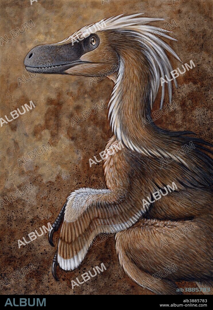 Velociraptor mongoliensis, a dromaeosaurid dinosaur of the Cretaceous Period. Acrylics and colored pencil.