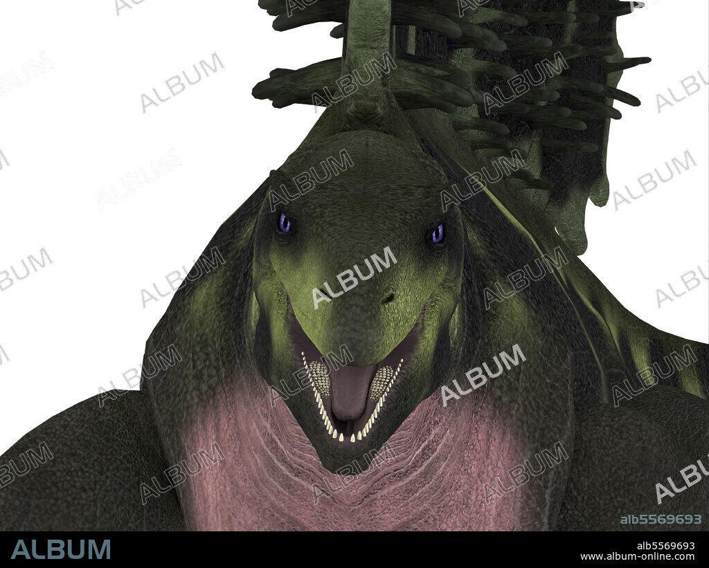 Edaphosaurus dinosaur head close-up. Edaphosaurus was a sailback dinosaur that lived during the Carboniferous and Permian Periods.