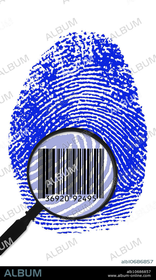 colour enhanced thumbprint seen with a magnifying glass over a bar code. Fingerprints are often used to prove identity based on the belief that no two fingerprints are alike. In his 1892 book Finger Prints, British gentleman scientist Sir Francis Galton noticed that the papillary ridges on the fingertip often end or split and rejoin one another. These points are now known as ridge characteristics, points of similarity, and Galton details. There are about thirty-five to fifty such points on a typical finger. A fingerprint examiner attempts to match found fingerprints by correlating these points with a previously known fingerprint.