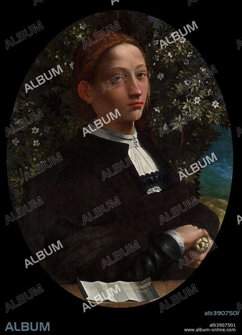 ATTRIBUTED TO DOSSO DOSSI and ATTRIBUTED TO BATTISTA DOSSI. Lucrezia Borgia, Duchess of Ferrara. Date/Period: 1519-1530. Painting. Oil on wood panel Oil on wood panel. Height: 745 mm (29.33 in); Width: 572 mm (22.51 in).