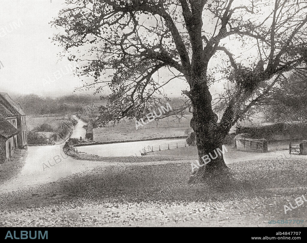 The Martyrs' Tree, a sycamore at Tolpuddle in Dorset, England, regarded by some as the birthplace of the British trades union movement.  From The Martyrs of Tolpuddle, published 1934.