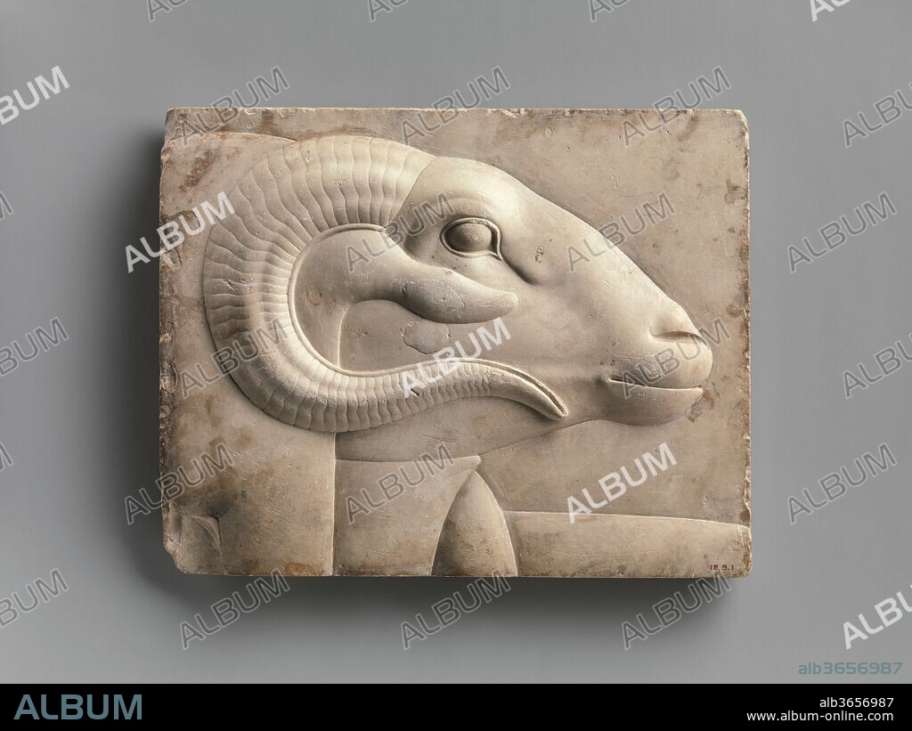 Relief plaque with ram's head from a god's figure. Dimensions: H. 17.2 x W. 21.5 cm (6 3/4 x 8 7/16 in). Date: 400-30 B.C..
Small Late Period and Ptolemaic reliefs or sculptures that depict a subject in a partial or unfinished way but are themselves complete objects constitute a special class of object. Guidelines like those for artists are often prominently exhibited as part of the object, although, in fact, many instances can be noted where the object simply could not serve as a suitable model for a traditional formal Egyptian representation. Personifications of kingship, figures that may represent the now emerging demigods Imhotep and Amenhotep Son of Hapu, and popular gods like Harpokrates or Isis, are heavily represented within the corpus. 
Taken together, the figures represented and the other features indicate the reliefs and sculptures of this class, sometimes called by Egyptologists "sculptor's models / votives," were the material of a donation practice, perhaps connected with the prolific temple building of these centuries. Unfortunately there is little to illuminate us about the mechanics of such a donation practice.
This example depicts the upper part of a ram headed god.