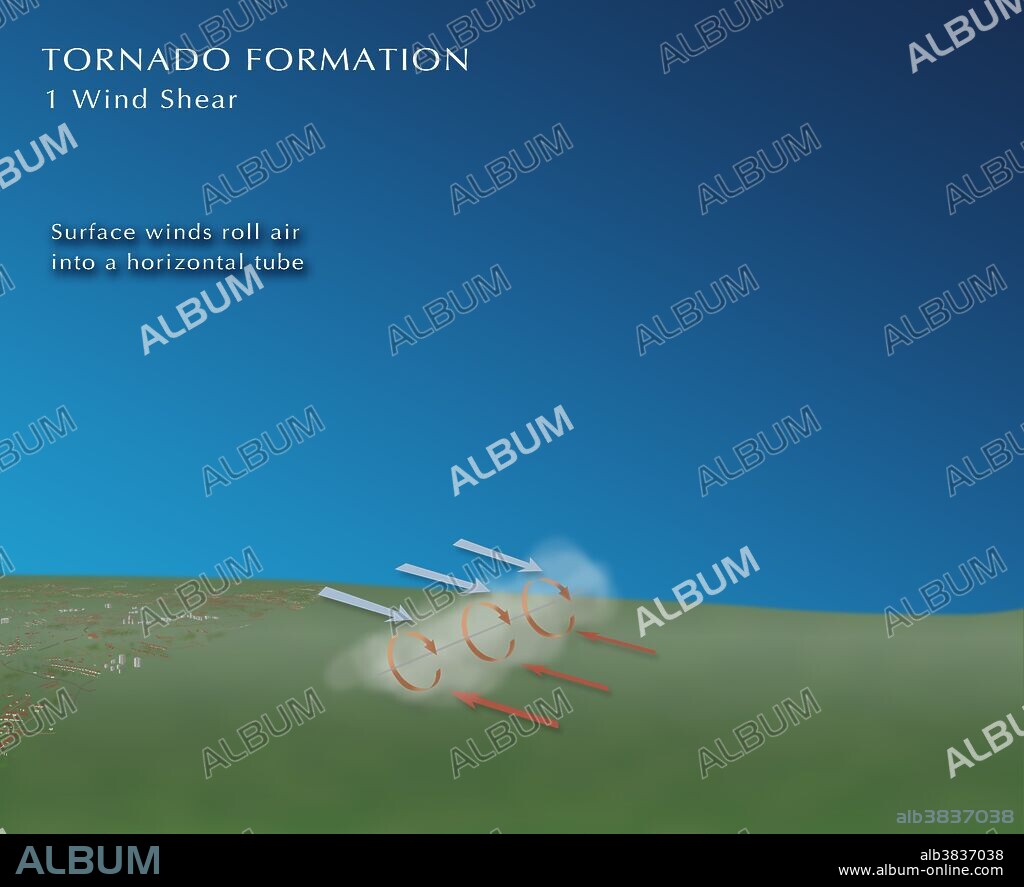 A sequence of illustrations depicting the formation of a tornado. (1) A wind shear forms; surface winds roll air into a horizontal tube. (2) Updraft; Sun warmed air lifts a section of the vortex vertically. (3) A storm forms; one side of the vortex becomes stronger and forms into a thunderstorm, while the other side dies. (4) Supercell; A mesocyclone pulls more warm air up into the storm, allowing it to grow. The spin then intensifies and a rotating column of air will break through the wall cloud and hit the ground. Image 1 of 4.