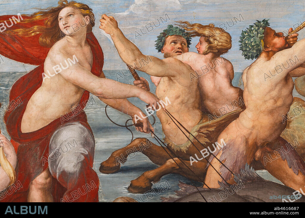 Rome, Villa Farnesina, the Loggia of Galatea: . "The Triumph of Galatea", by Raphael (1513 - 4). Galatea was the beautiful nymph whom Raphael depicted amongst a throng of sea creatures as she speeds away from her admirer on a fantastical shell drawn by dolphins.. Detail.