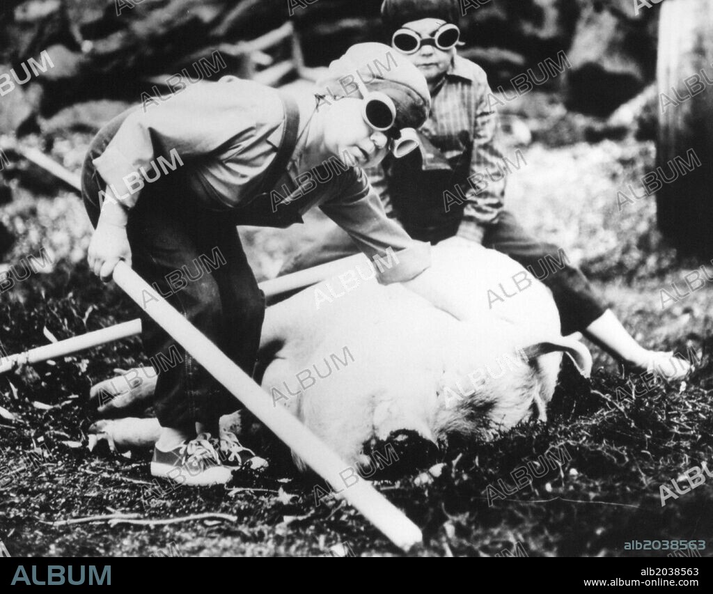 EVEN DWARFS STARTED SMALL, 1970 (AUCH ZWERGE HABEN KLEIN ANGEFANGEN), directed by WERNER HERZOG. Copyright WERNER HERZOG FILMPRODUKTION.