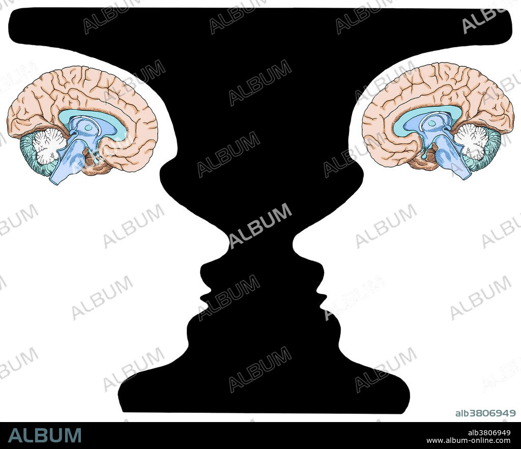 Conceptual Illustration of Rubin Vase and Brains