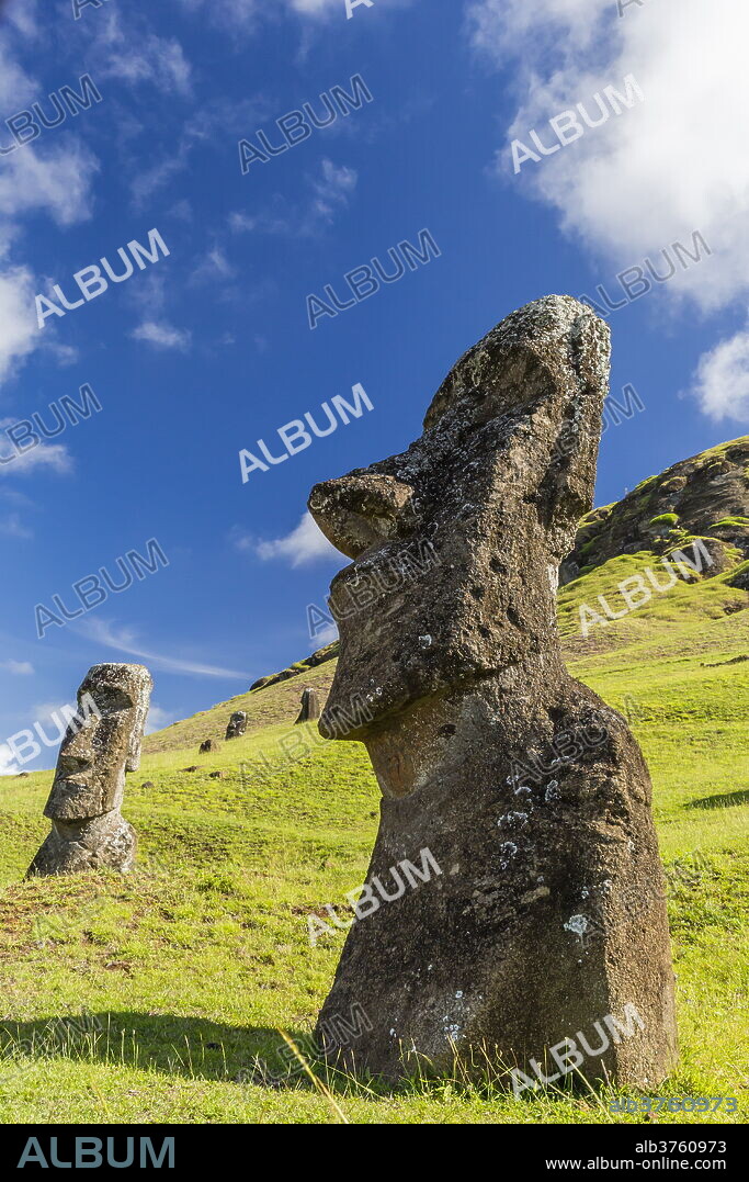 Moai sculptures in various stages of completion at Rano Raraku, the quarry site for all moai on Easter Island, Rapa Nui National Park, UNESCO World Heritage Site, Easter Island (Isla de Pascua), Chile, South America.