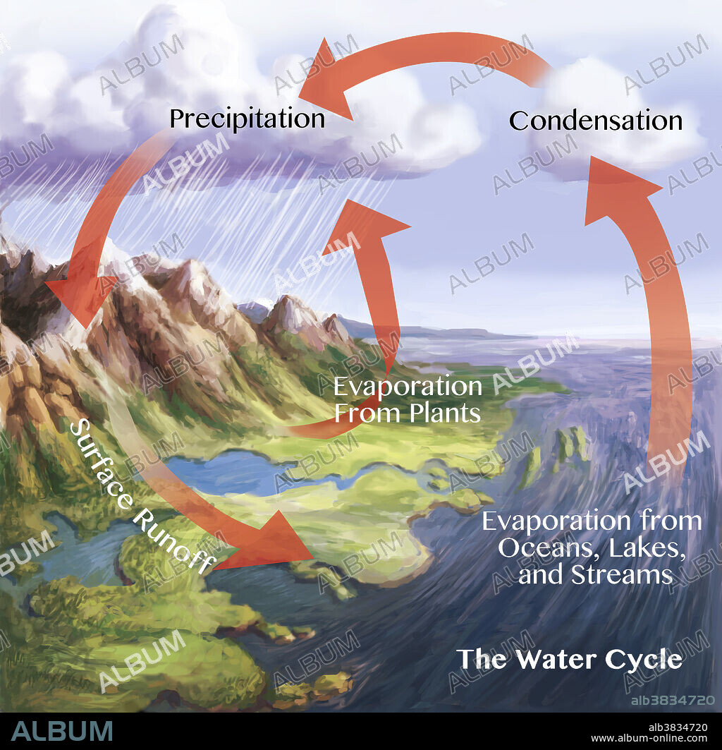 Water cycle illustration. The red arrows here show some of the ways by which water is constantly being redistributed. This includes: evaporation from oceans, lakes, and land, transpiration through plants, precipitation over land, condensation, and water flow from land to ocean in surface rivers and streams.