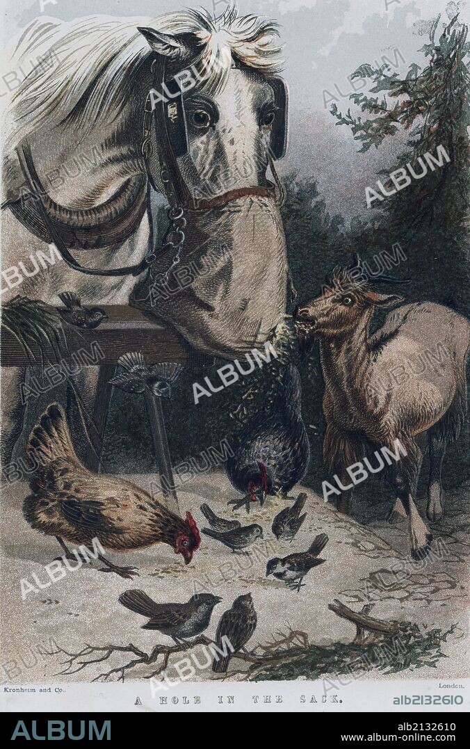 Horse with leaking nosebag. (Photo by: Universal History Archive/UIG via Getty Images).