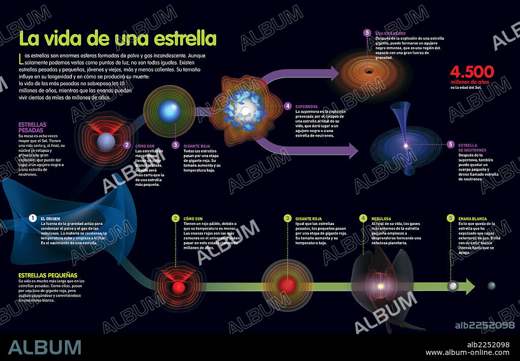 La vida de una estrella. Infografía que describe las etapas por las que pasa la vida de una estrella desde que nace hasta que desaparece.