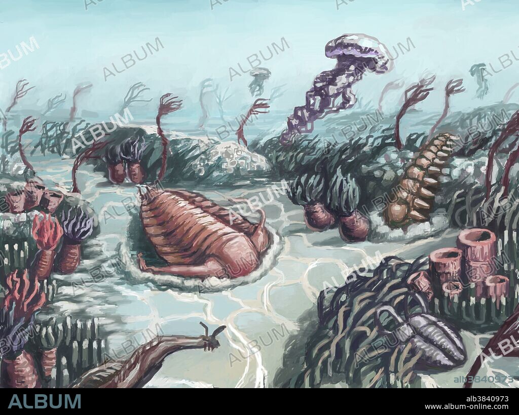A conceptual illustration of the Cambrian geologic period, which spanned from 541 to 485.4 million years ago. It was the first geological period of the Paleozoic Era.