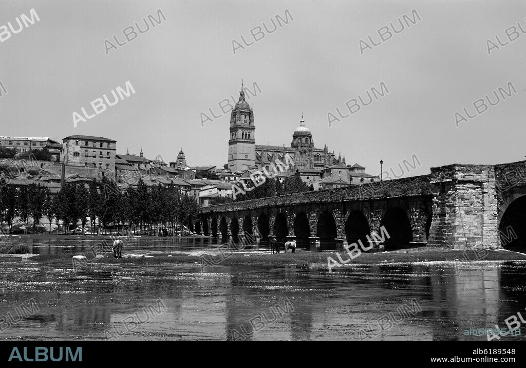 PANORAMICA DE LA CATEDRAL DE SALAMANCA DESDE EL RIO TORMES - FOTOGRAFIA EN BLANCO Y NEGRO - AÑOS 60.