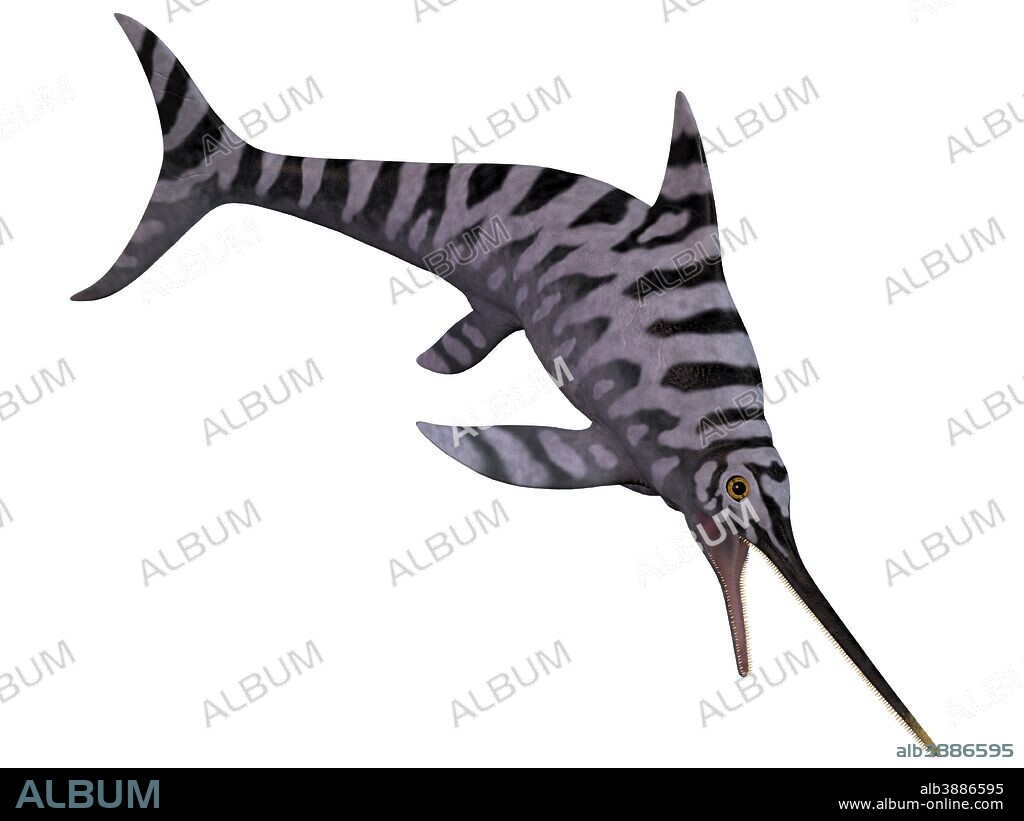 Eurhinosaurus is an extinct genus of ichthyosaur from the Early Jurassic of Europe.