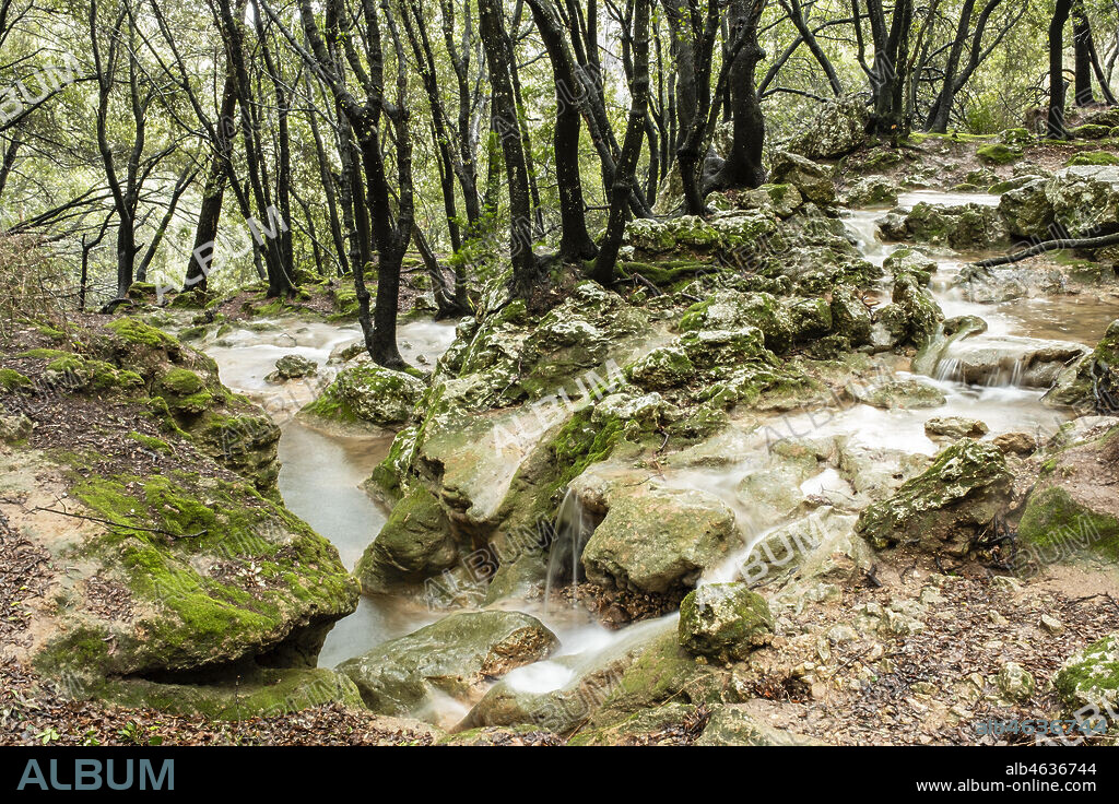 Torrent de Coanegra, Orient, Bunyola, Mallorca, Balearic Islands, Spain.