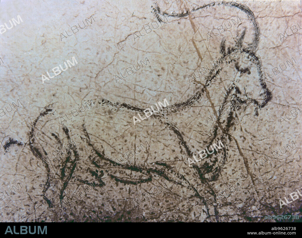 Naturalistic representation of an Spanish goat in movement (La Pileta cave, Málaga), using the discontinuous lines for plain black inks the profile of the animal is drawn, as well as cutting lines that give volume to figures.
