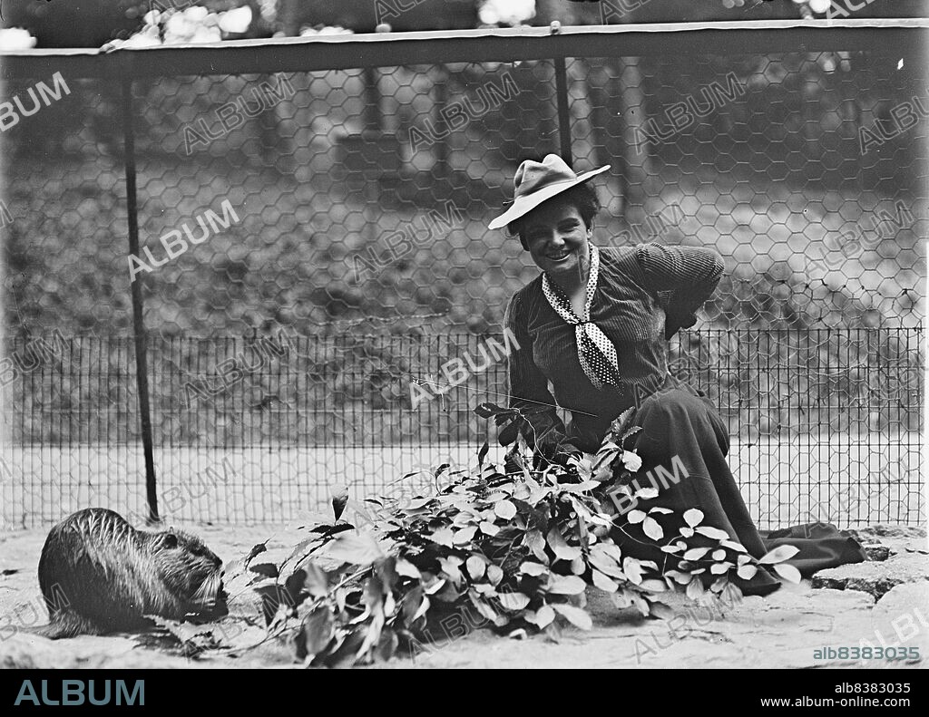 HARRIS & EWING. Mrs. Franklin Adams, nee Harriet Chalmers, at Zoo, 1912. [American explorer, writer and photographer Harriet Chalmers Adams. She lectured frequently on her extensive travels in South America, Asia and the South Pacific, and illustrated her talks with colour slides and films. She also published accounts of her journeys in National Geographic magazine. Married to Franklin Pierce Adams].