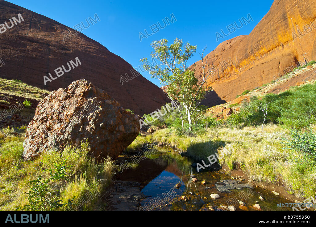 The Olgas (Kata Tjuta), Uluru-Kata Tjuta National Park, UNESCO World Heritage Site, Northern Territory, Australia, Pacific.
