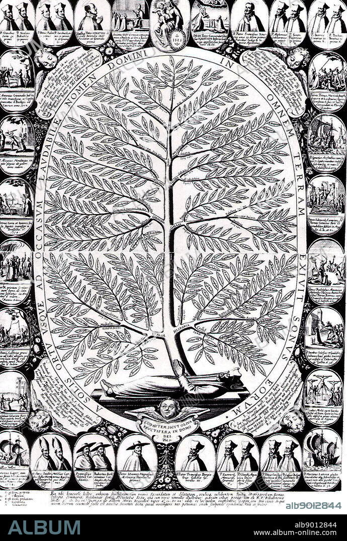 (Jesuit Tree) Jesuit's Bark, also called Peruvian Bark, is the historical name of the most celebrated specific remedy for all forms of malaria. It is so named because it was obtained from the bark of several species of the genus Cinchona, of the order Rubiaceae, that have been discovered at different times and are indigenous in the Western Andes of South America and were first described and introduced by Jesuit priests.